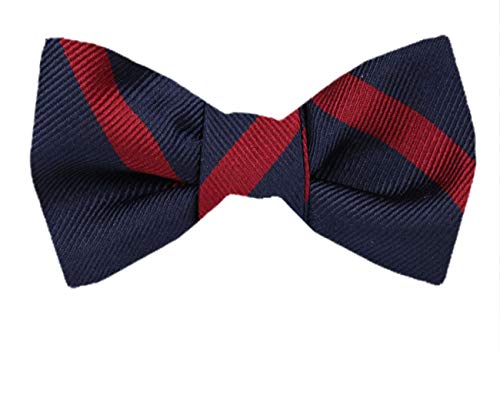 Navy Blue Burgundy Stripe SilkSelf-Tie Bow Tie